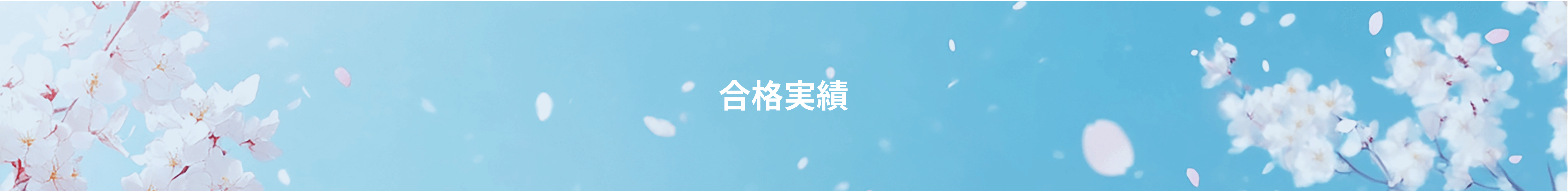 合格実績｜大学受験の予備校・塾 【テラ塾】